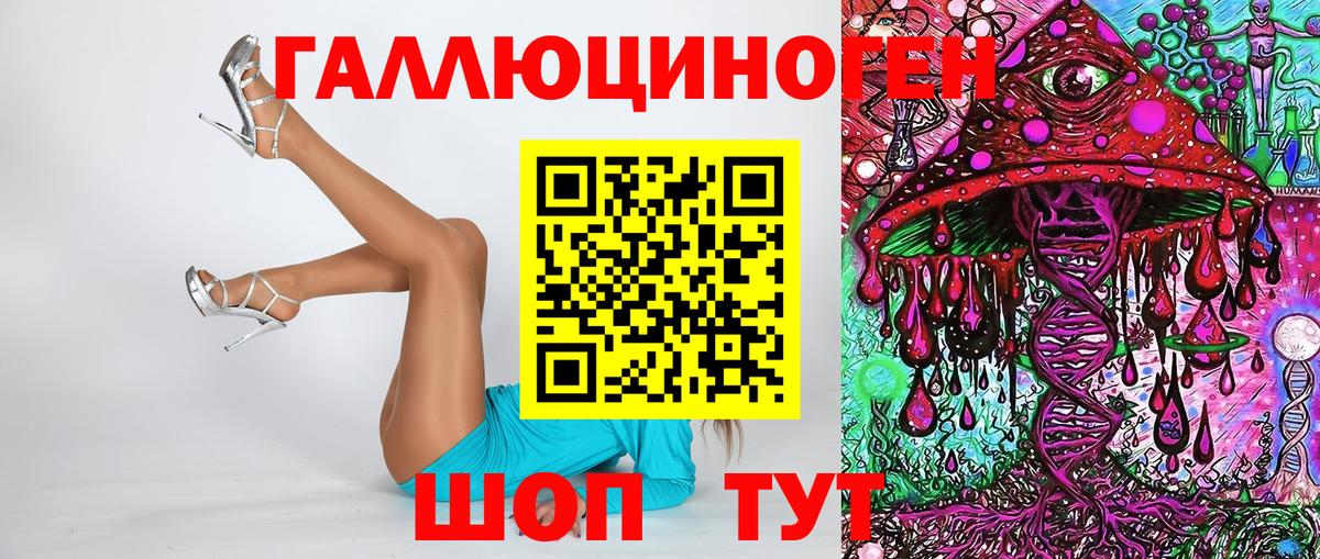 Сунжа  Галлюциногенные грибы MAGIC MUSHROOMS  как найти закладки  Вход с VPN 